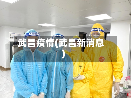 武昌疫情(武昌新消息)-第2张图片