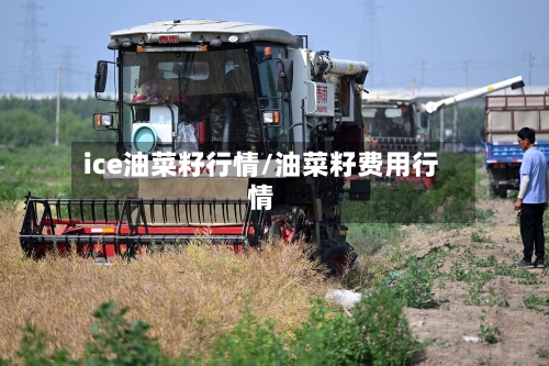 ice油菜籽行情/油菜籽费用行情