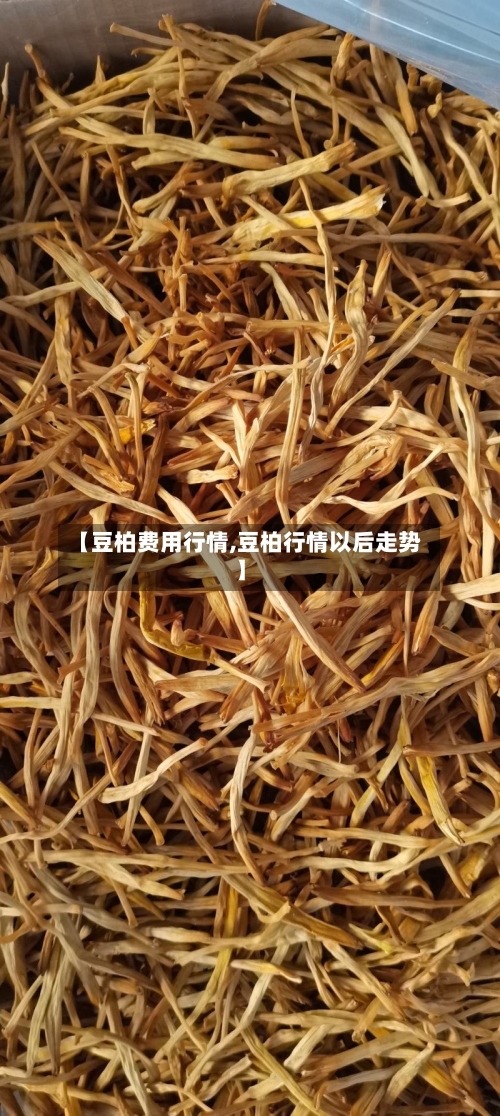 【豆柏费用行情,豆柏行情以后走势】
