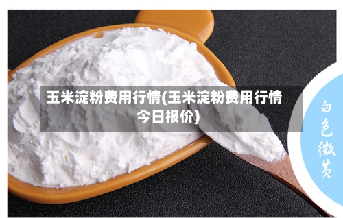 玉米淀粉费用行情(玉米淀粉费用行情今日报价)