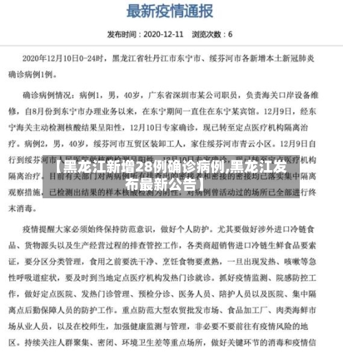 【黑龙江新增28例确诊病例,黑龙江发布最新公告】-第2张图片