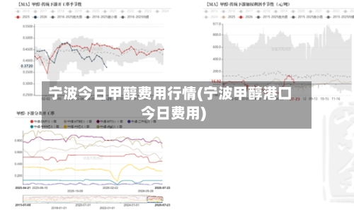 宁波今日甲醇费用行情(宁波甲醇港口今日费用)-第2张图片