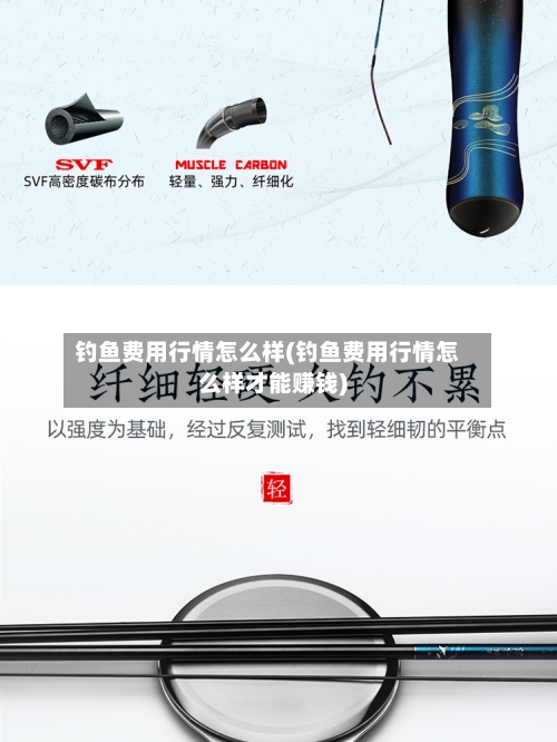钓鱼费用行情怎么样(钓鱼费用行情怎么样才能赚钱)