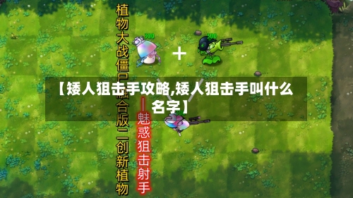 【矮人狙击手攻略,矮人狙击手叫什么名字】