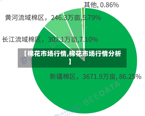 【棉花市场行情,棉花市场行情分析】-第2张图片