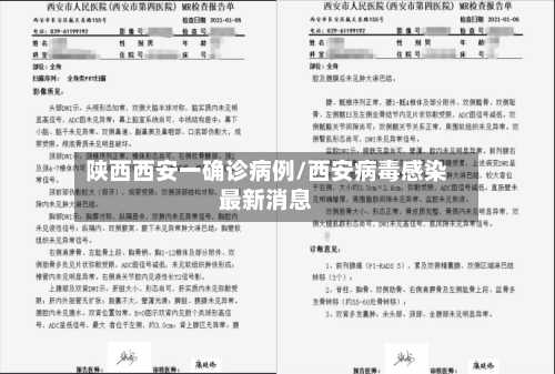 陕西西安一确诊病例/西安病毒感染最新消息