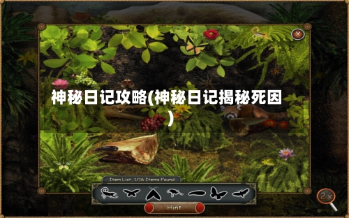 神秘日记攻略(神秘日记揭秘死因)