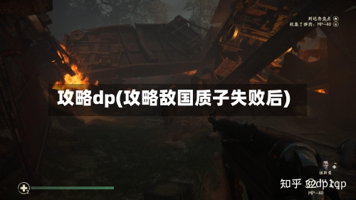 攻略dp(攻略敌国质子失败后)