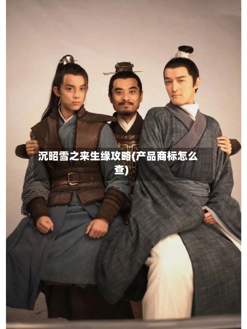 沉昭雪之来生缘攻略(产品商标怎么查)