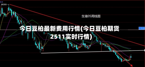 今日豆柏最新费用行情(今日豆柏期货2511实时行情)-第2张图片