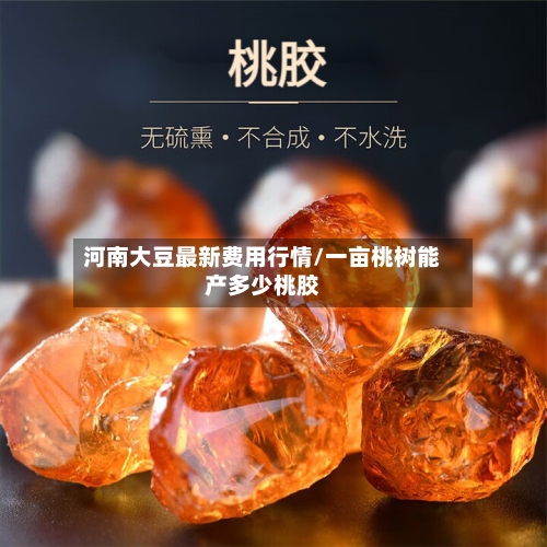 河南大豆最新费用行情/一亩桃树能产多少桃胶-第3张图片