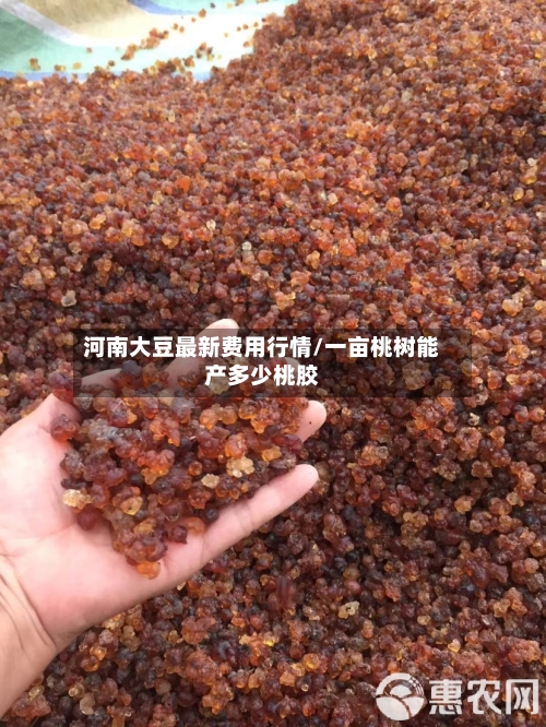 河南大豆最新费用行情/一亩桃树能产多少桃胶