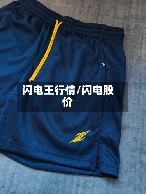 闪电王行情/闪电股价-第2张图片