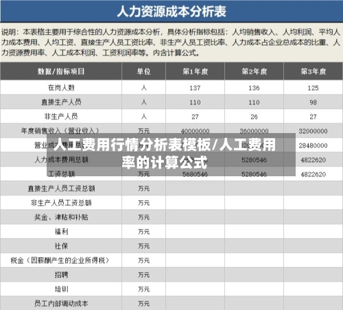 人工费用行情分析表模板/人工费用率的计算公式