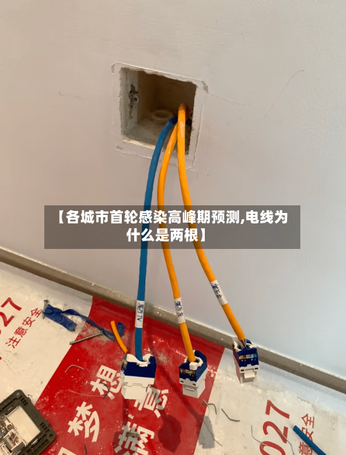 【各城市首轮感染高峰期预测,电线为什么是两根】-第2张图片