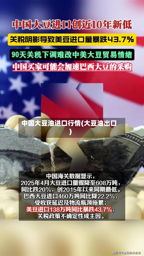 中国大豆油进口行情(大豆油出口)-第2张图片