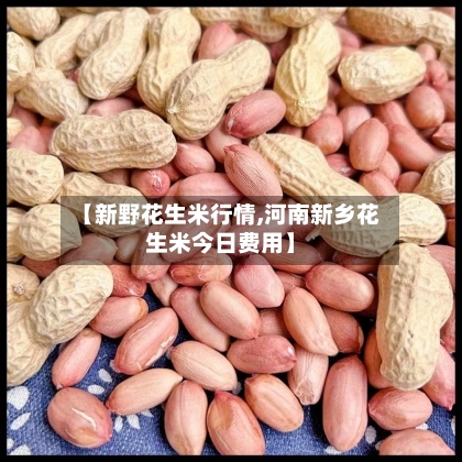 【新野花生米行情,河南新乡花生米今日费用】-第2张图片