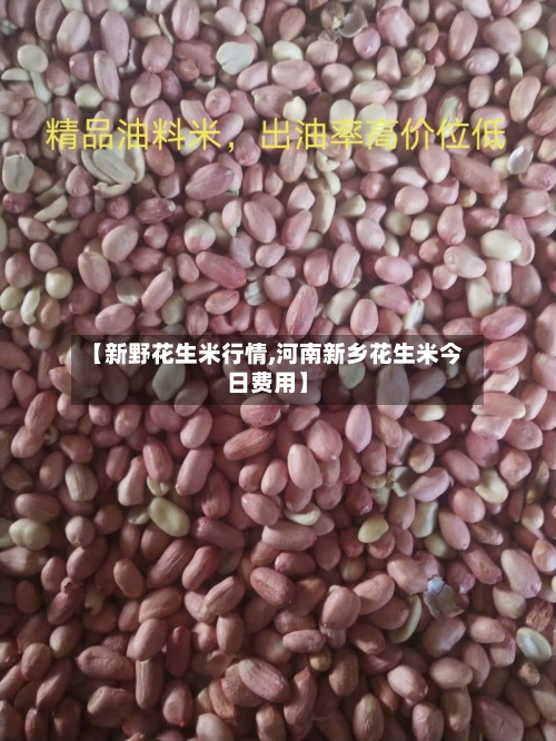 【新野花生米行情,河南新乡花生米今日费用】
