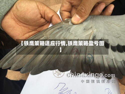 【铁鹰策略适应行情,铁鹰策略盈亏图】