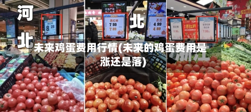 未来鸡蛋费用行情(未来的鸡蛋费用是涨还是落)