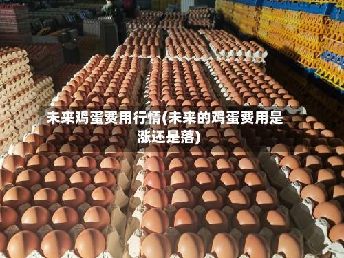 未来鸡蛋费用行情(未来的鸡蛋费用是涨还是落)-第2张图片