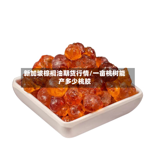 新加坡棕榈油期货行情/一亩桃树能产多少桃胶