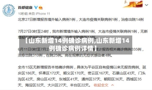 【山东新增14例确诊病例,山东新增14例确诊病例详情】-第2张图片