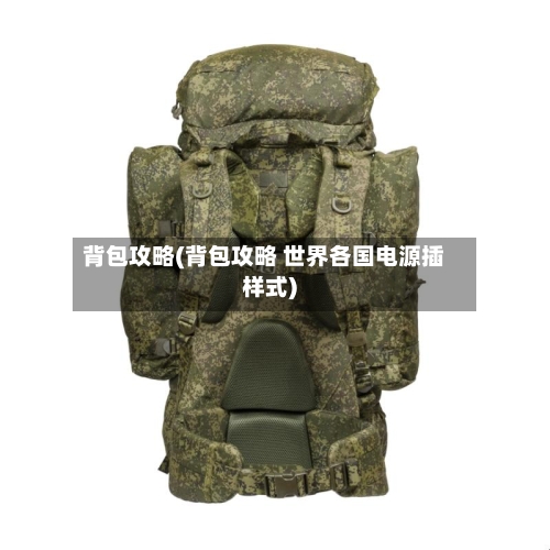 背包攻略(背包攻略 世界各国电源插样式)-第2张图片