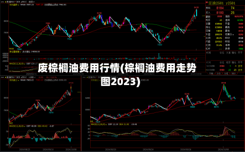 废棕榈油费用行情(棕榈油费用走势图2023)-第1张图片