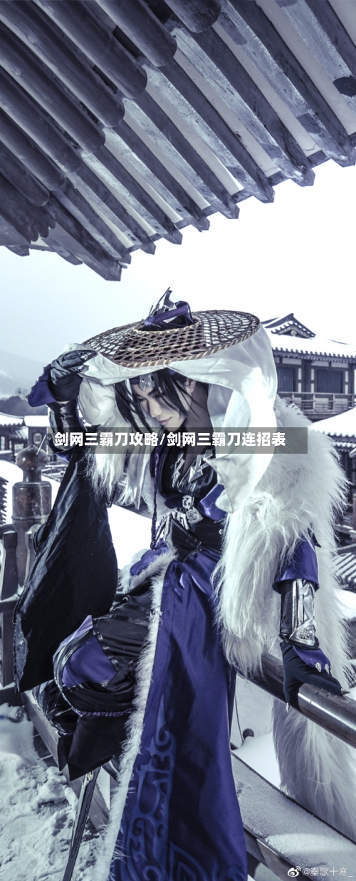 剑网三霸刀攻略/剑网三霸刀连招表