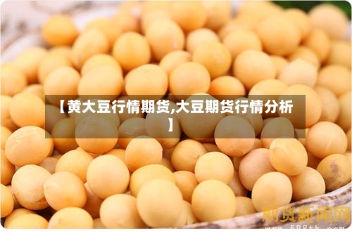 【黄大豆行情期货,大豆期货行情分析】-第2张图片