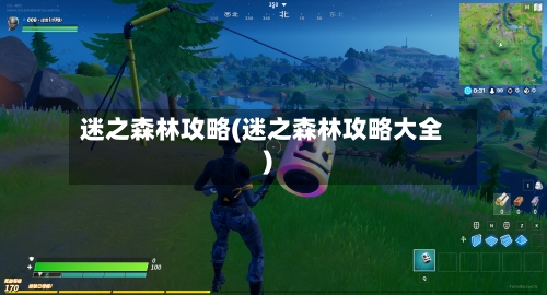 迷之森林攻略(迷之森林攻略大全)
