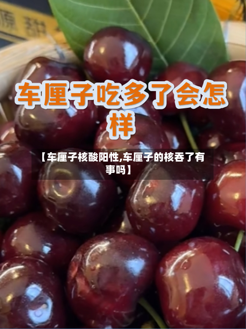 【车厘子核酸阳性,车厘子的核吞了有事吗】