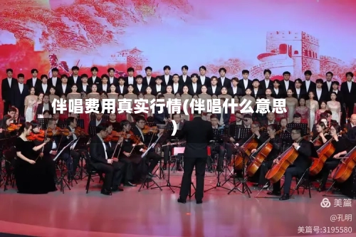 伴唱费用真实行情(伴唱什么意思)-第2张图片