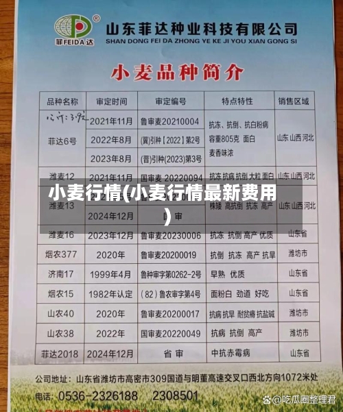 小麦行情(小麦行情最新费用)