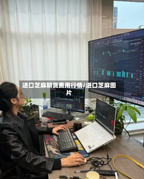 进口芝麻期货费用行情/进口芝麻图片