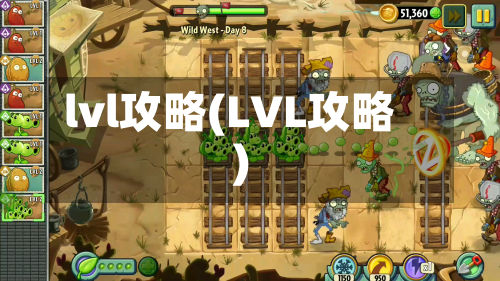 lvl攻略(LVL攻略)