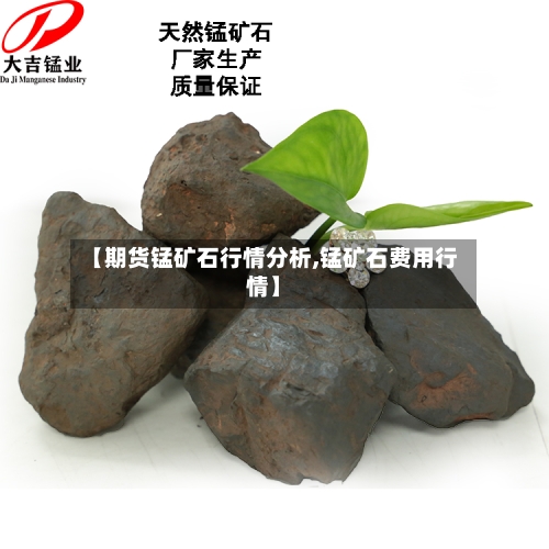 【期货锰矿石行情分析,锰矿石费用行情】-第3张图片