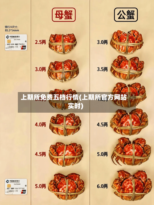 上期所免费五档行情(上期所官方网站实时)-第3张图片