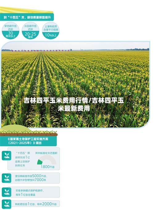 吉林四平玉米费用行情/吉林四平玉米最新费用-第2张图片