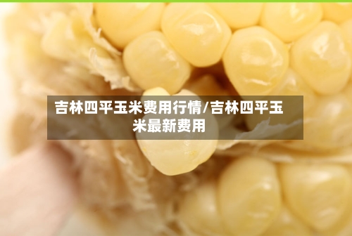 吉林四平玉米费用行情/吉林四平玉米最新费用-第3张图片