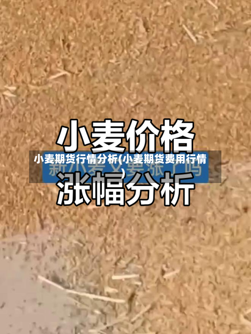 小麦期货行情分析(小麦期货费用行情)