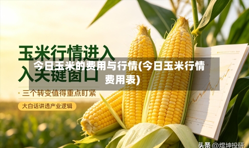 今日玉米的费用与行情(今日玉米行情费用表)-第3张图片