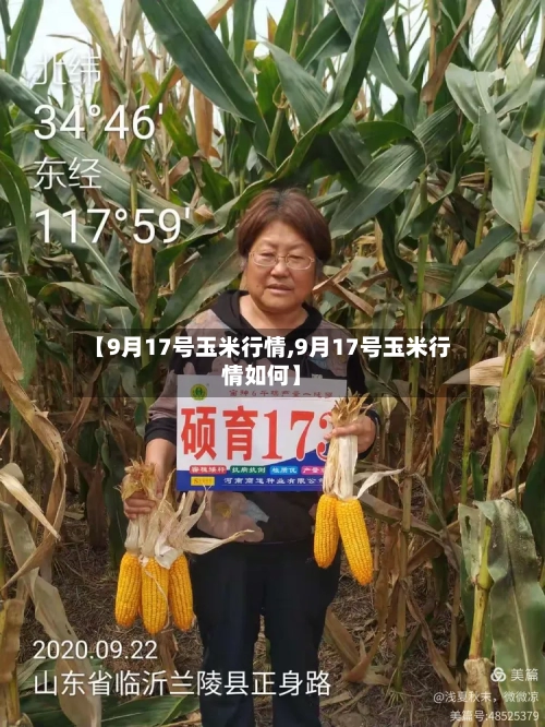 【9月17号玉米行情,9月17号玉米行情如何】