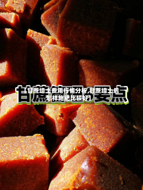 【甘蔗培土费用行情分析,甘蔗培土后怎样施肥比较好】-第2张图片