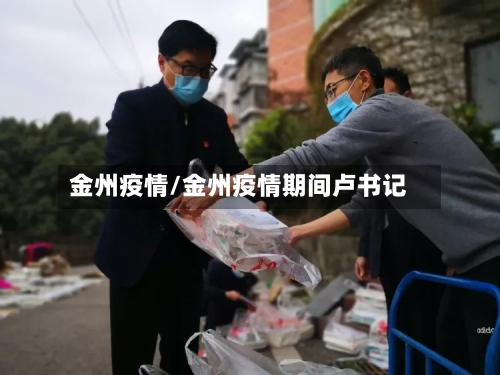 金州疫情/金州疫情期间卢书记-第1张图片