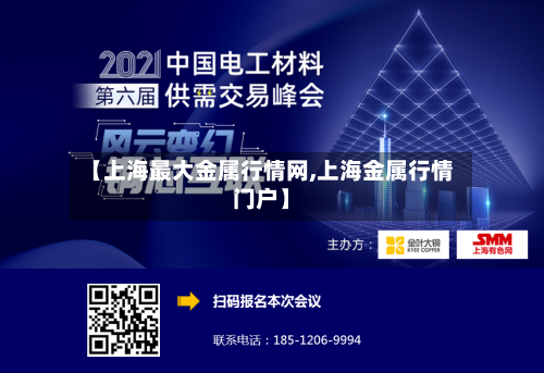 【上海最大金属行情网,上海金属行情门户】-第3张图片