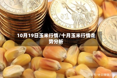10月19日玉米行情/十月玉米行情走势分析