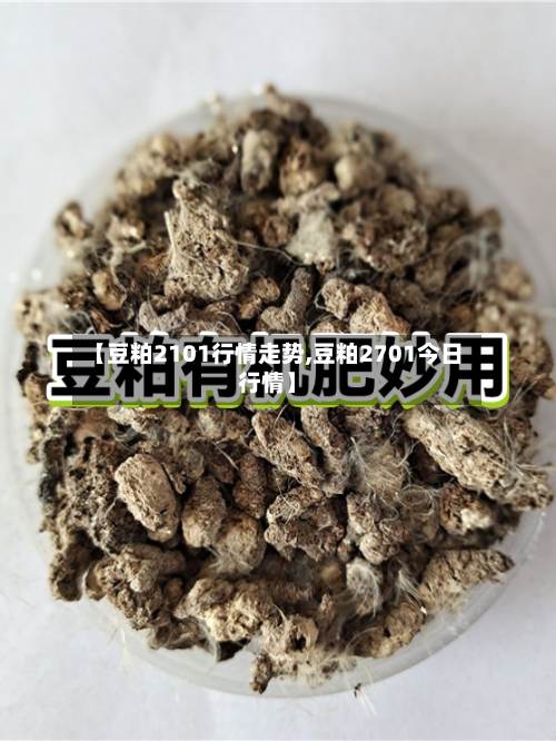 【豆粕2101行情走势,豆粕2701今日行情】