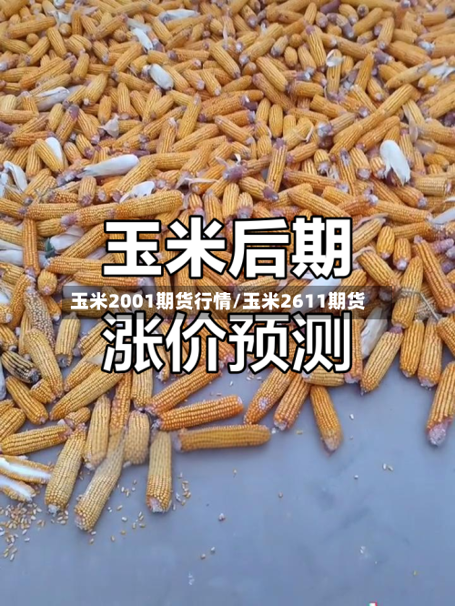 玉米2001期货行情/玉米2611期货-第2张图片